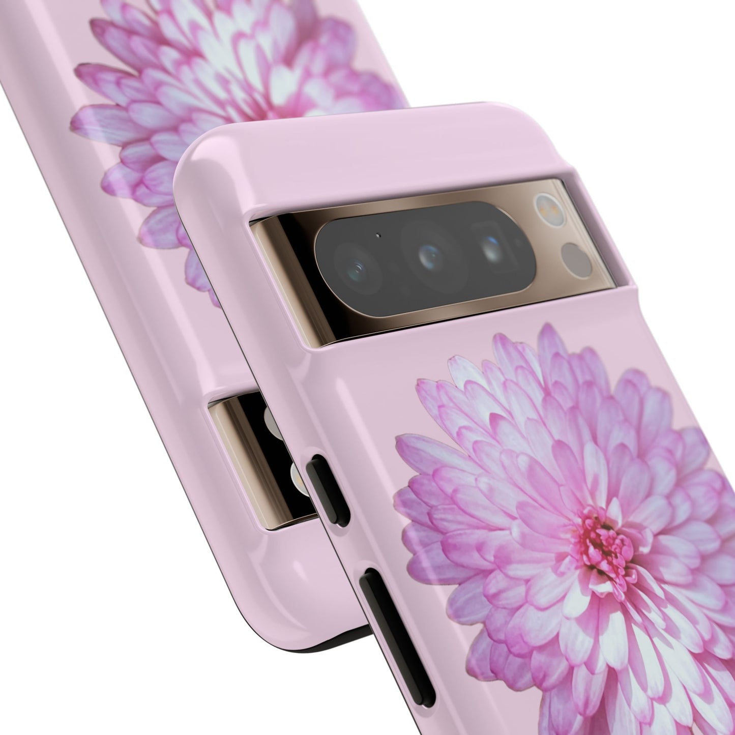 Pink Callistephus (Armoured)