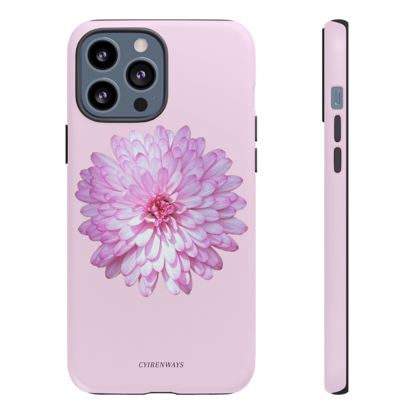 Pink Callistephus (Armoured)