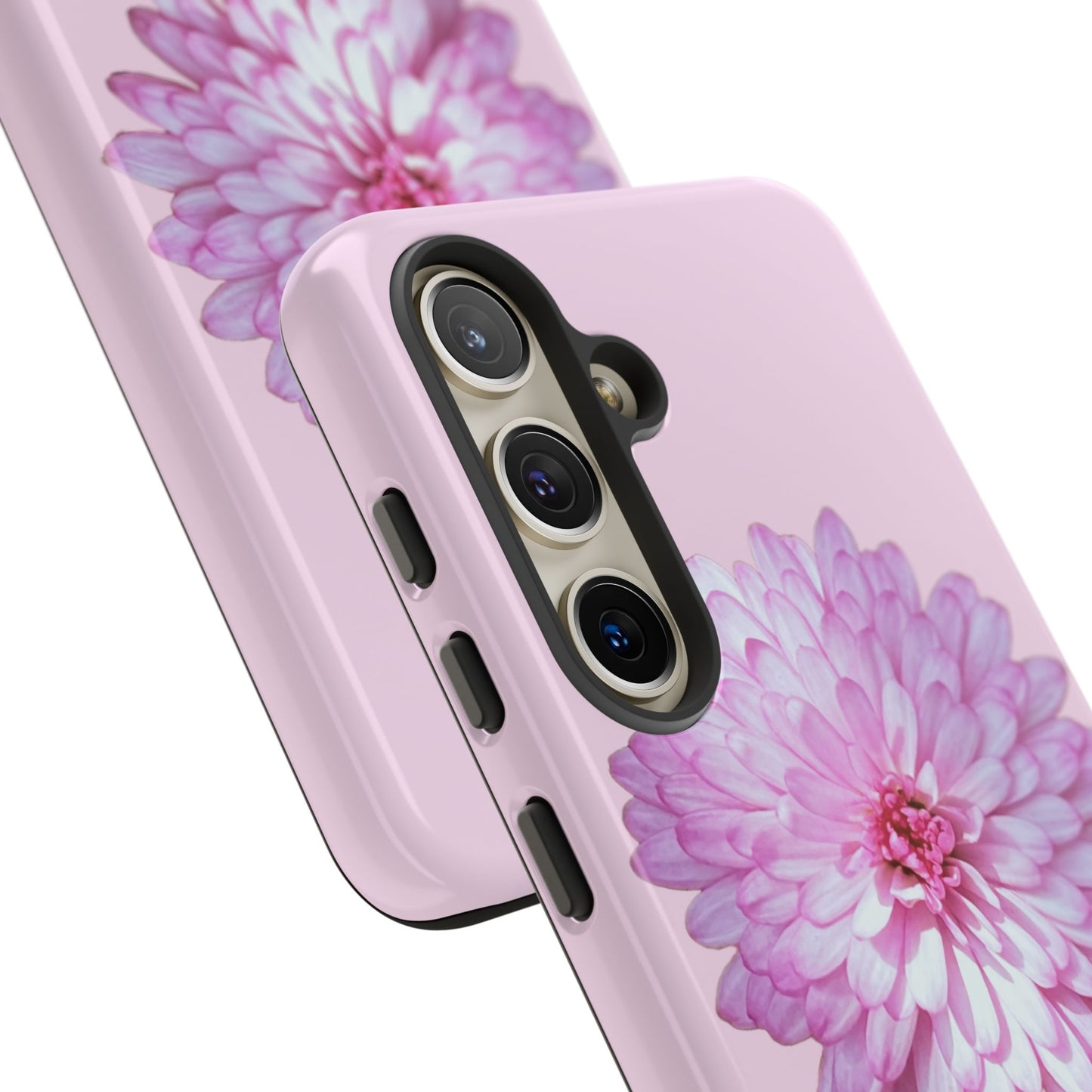 Pink Callistephus (Armoured)