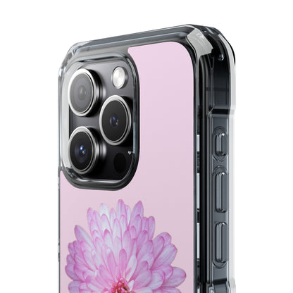 Pink Callistephus (Impact: Clear Magsafe-compatible/Magnetic)