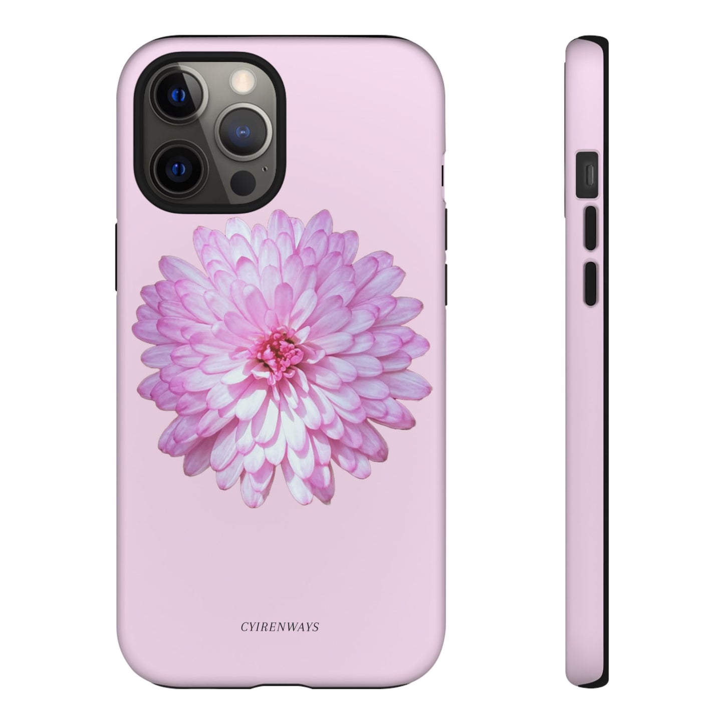 Pink Callistephus (Armoured)