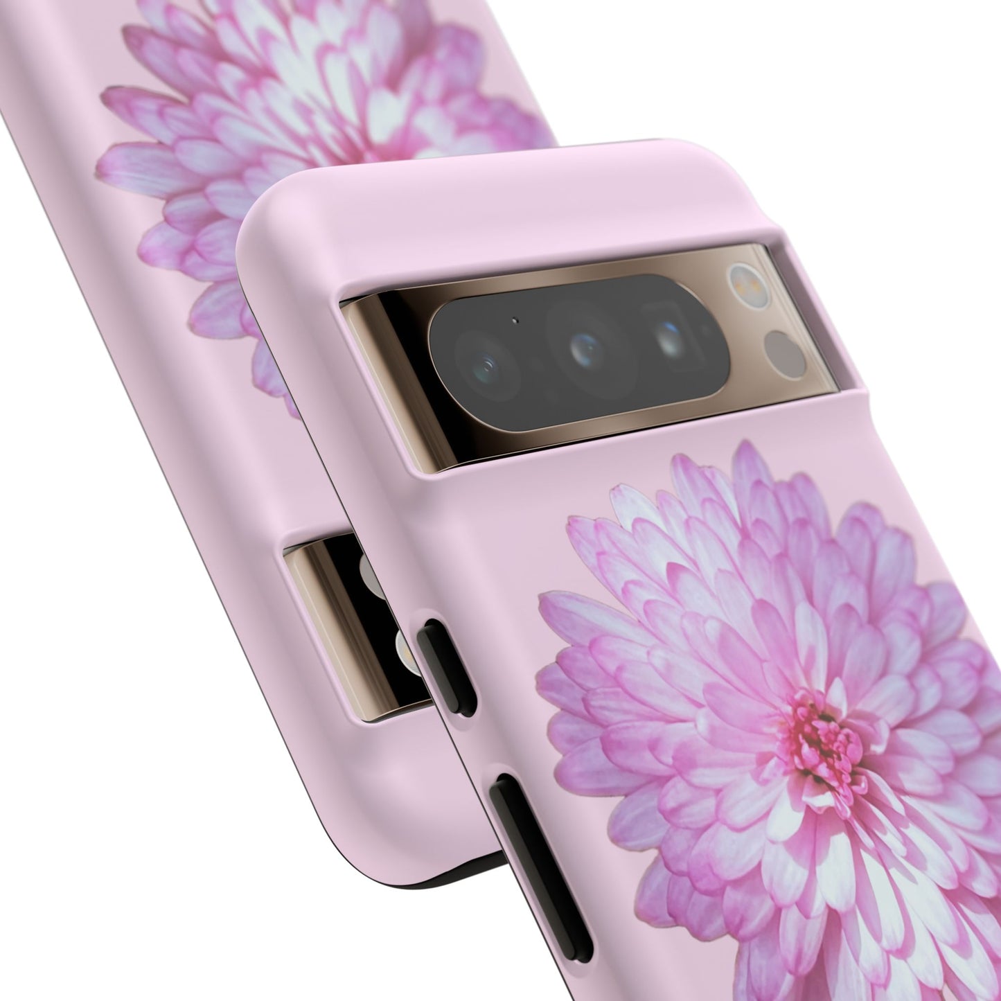 Pink Callistephus (Armoured)