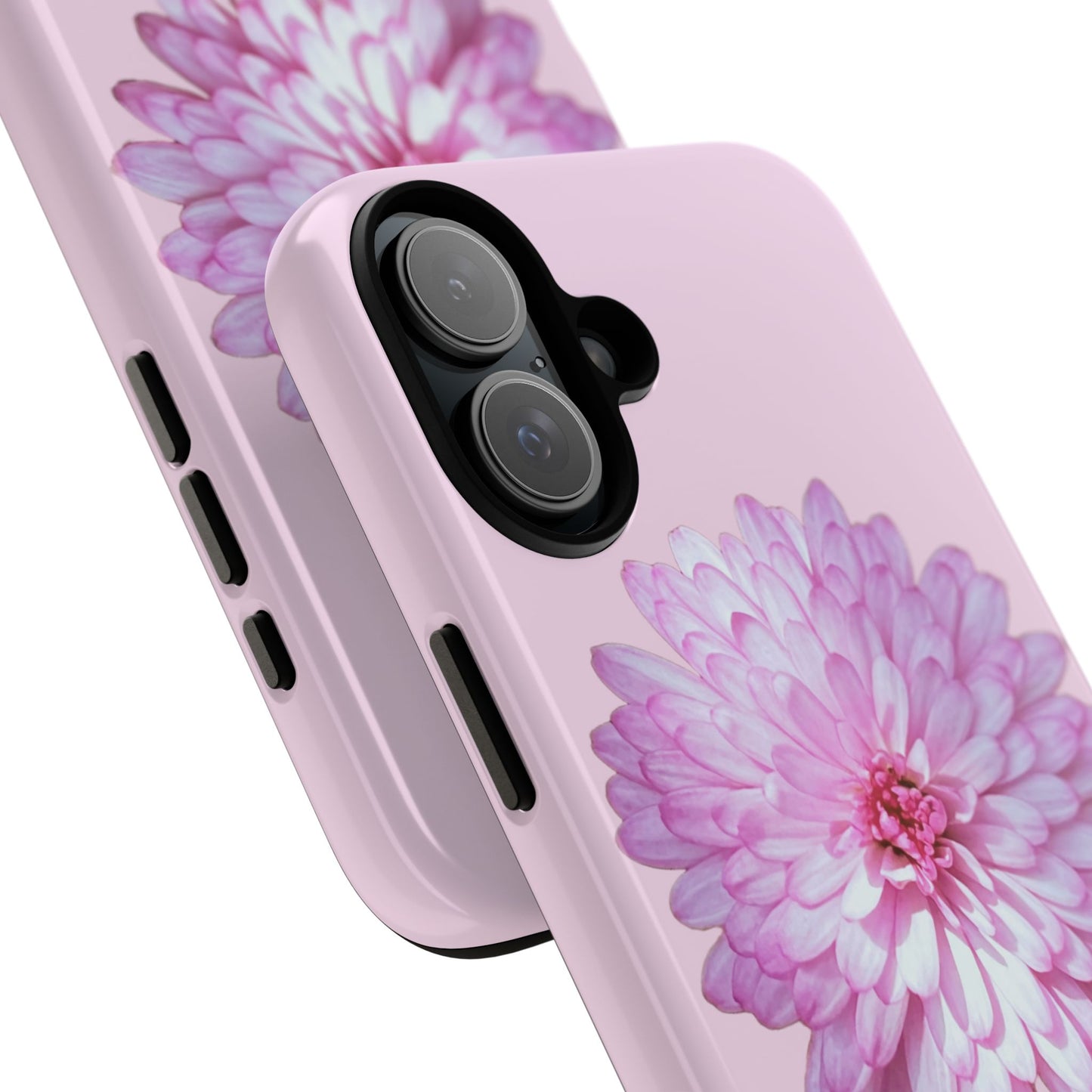 Pink Callistephus (Armoured)