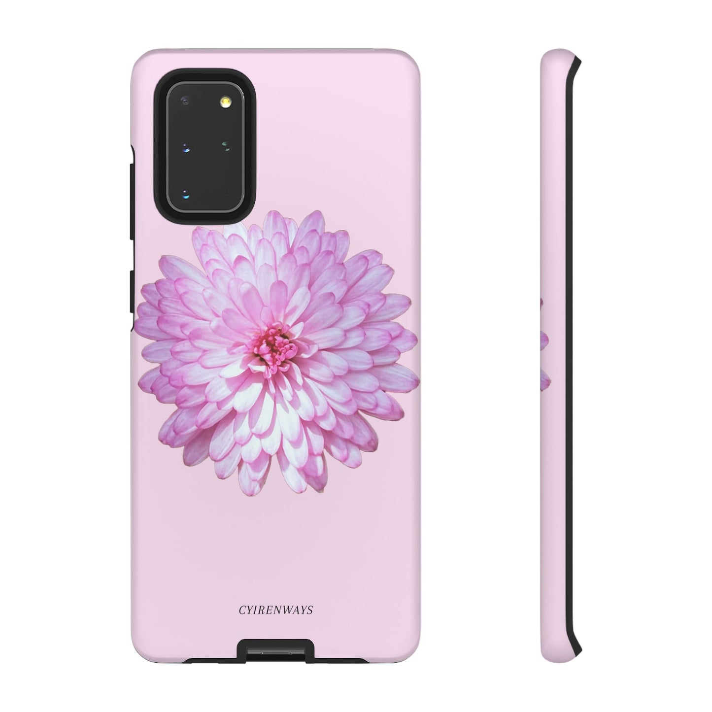 Pink Callistephus (Armoured)