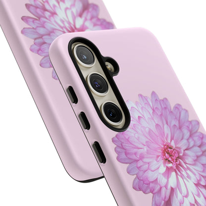 Pink Callistephus (Armoured)