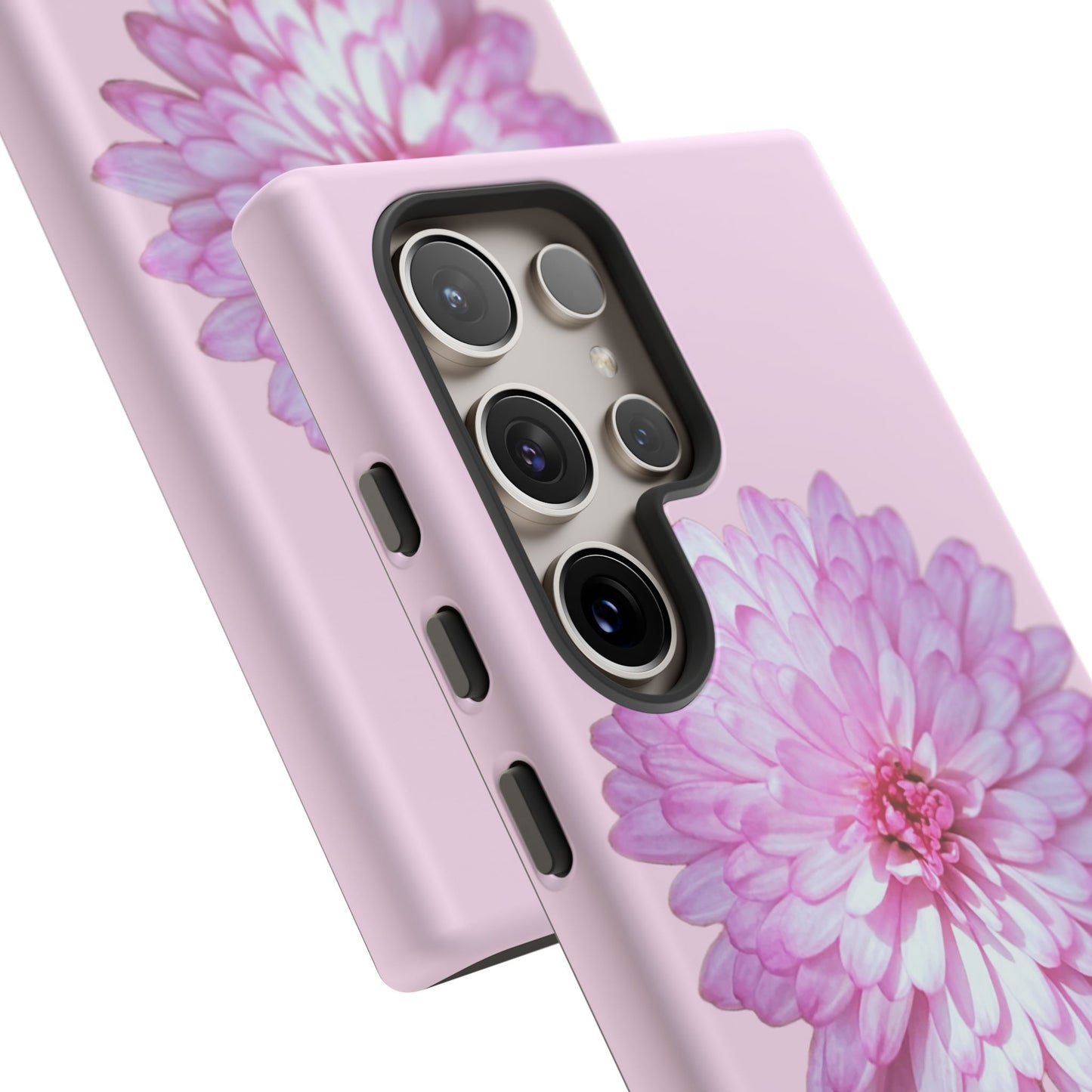 Pink Callistephus (Armoured)