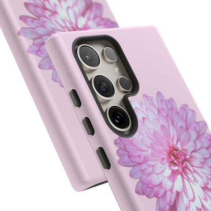 Pink Callistephus (Armoured)